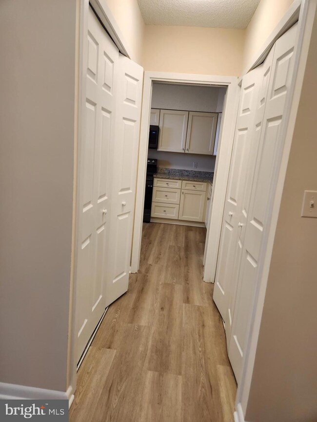 5501 Seminary Rd unit 1713S, Baileys Crossroads, VA 22041 - photo 5