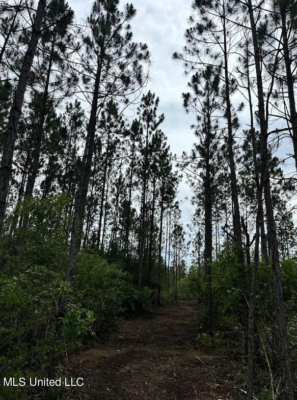 MulchedTrail