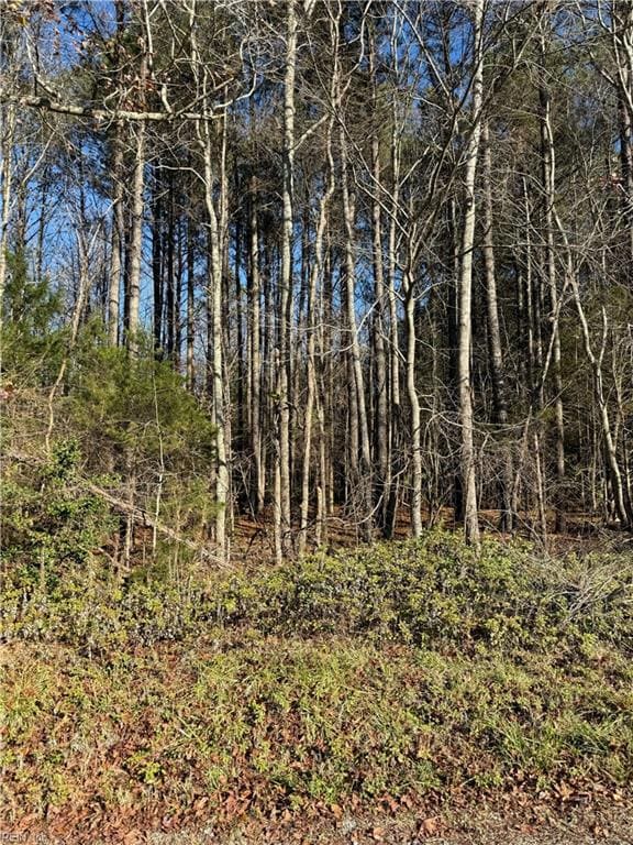 .95AC Cowpen Neck Rd, Gloucester, VA 23061 - photo 2