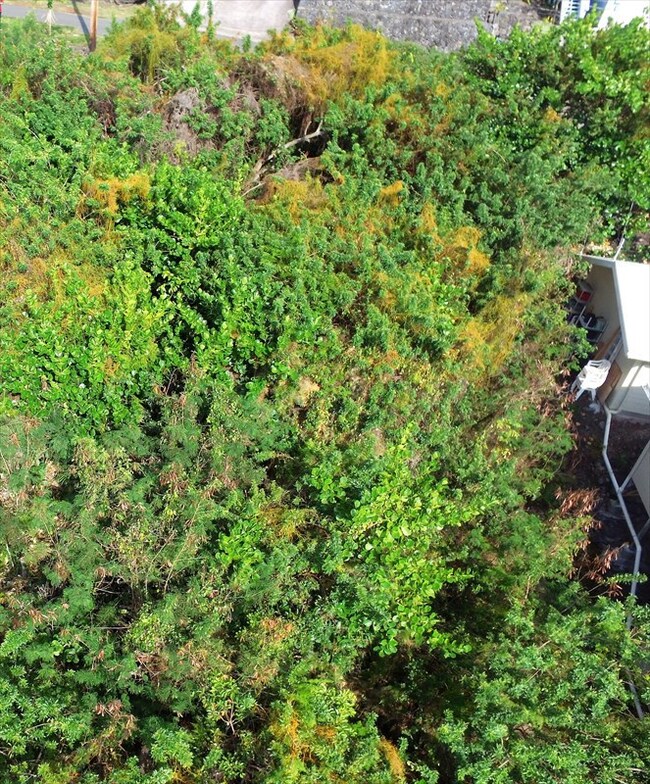 Aerial shot with neighboring house to the right and vacant lot to the left.