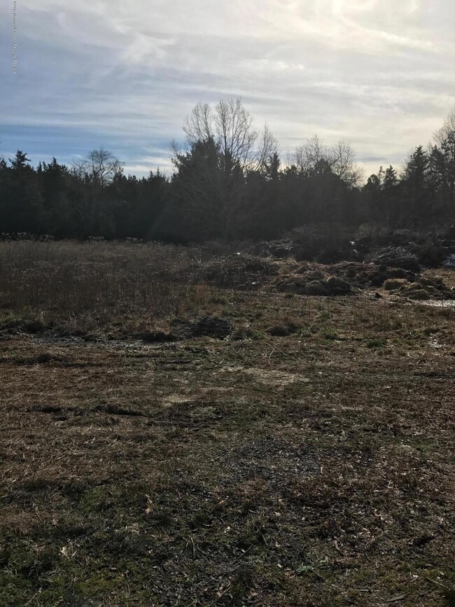 4.04 Off Nugentown Rd, Little Egg Harbor Township, NJ 08087 - photo 4
