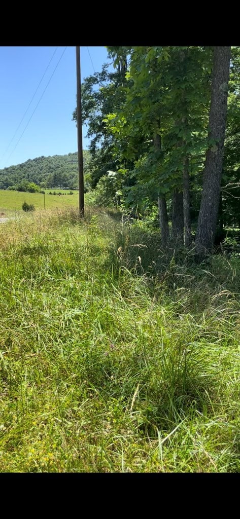 Lot 8 Hidden River Rd, Rock Island, TN 38581 - photo 3