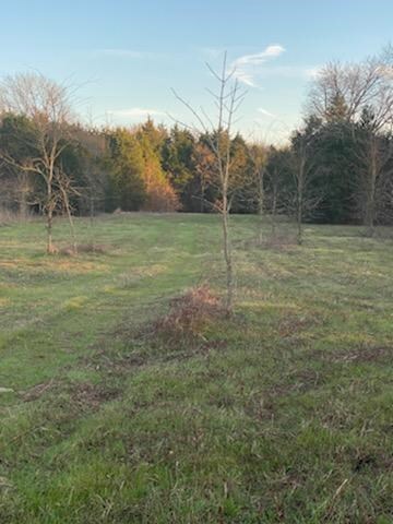 0 Hwy 59 unit 92096, Athens, TX 75751 - photo 6