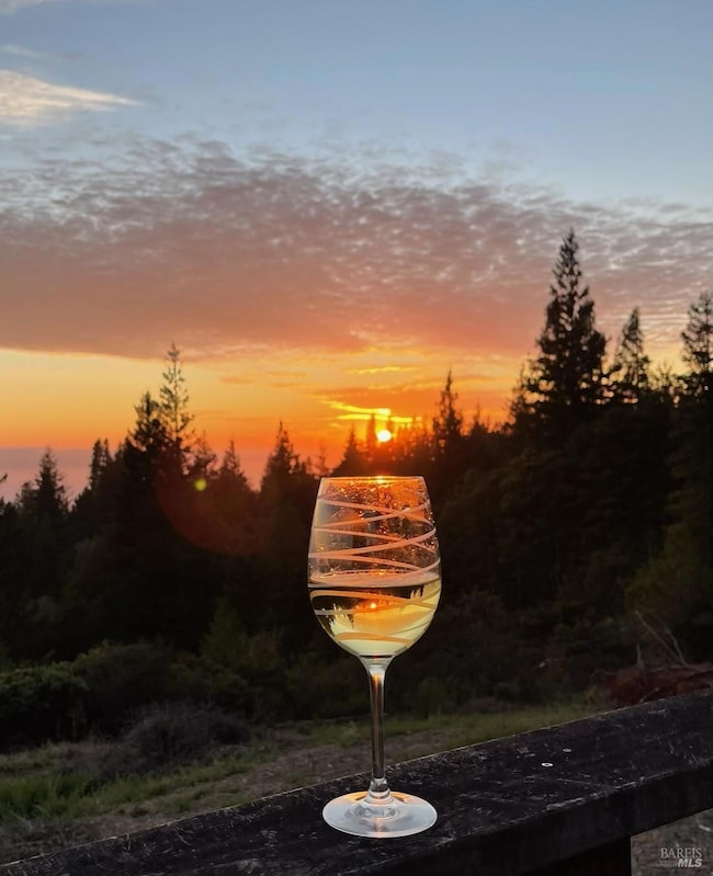 44801 Fish Rock Rd, Gualala, CA 95445 - photo 6