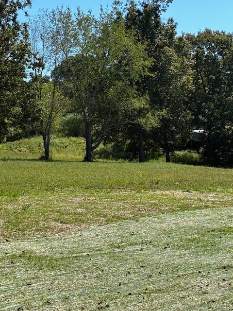 0 Hunziker Ln unit RTC2785102, Fairview, TN 37062 - photo 5