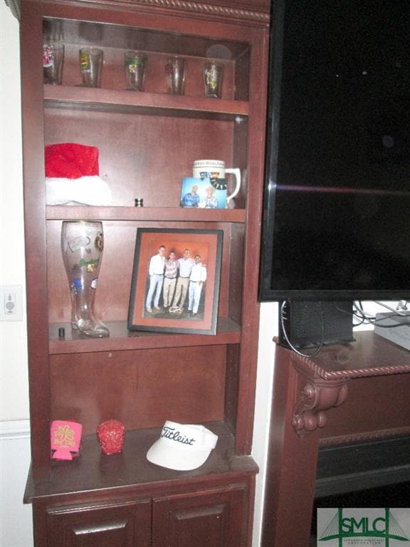 Built-in bookcase and storage in living room