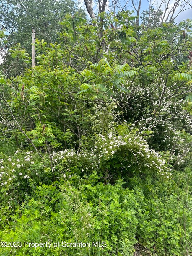 0 Yostville Rd unit GSB232457, Covington Township, PA 18444 - photo 2