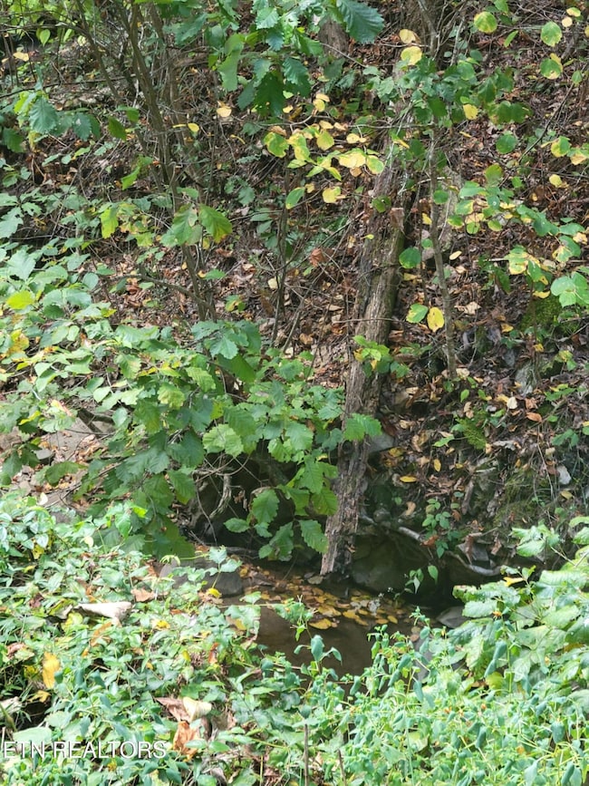 0 Alpine Dr unit 1283013, Sevierville, TN 37876 - photo 6