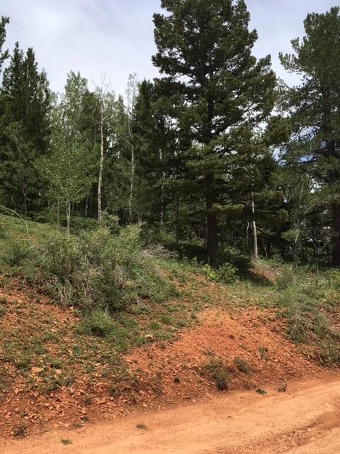 564 W Ski View Dr unit Lot 13-Bk A-Ski View, Brian Head, UT 84719 - photo 2