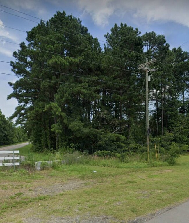 0 Hwys 301 & S-38-82 70 09910024 unit 11418779, Santee, SC 29142 - photo 3