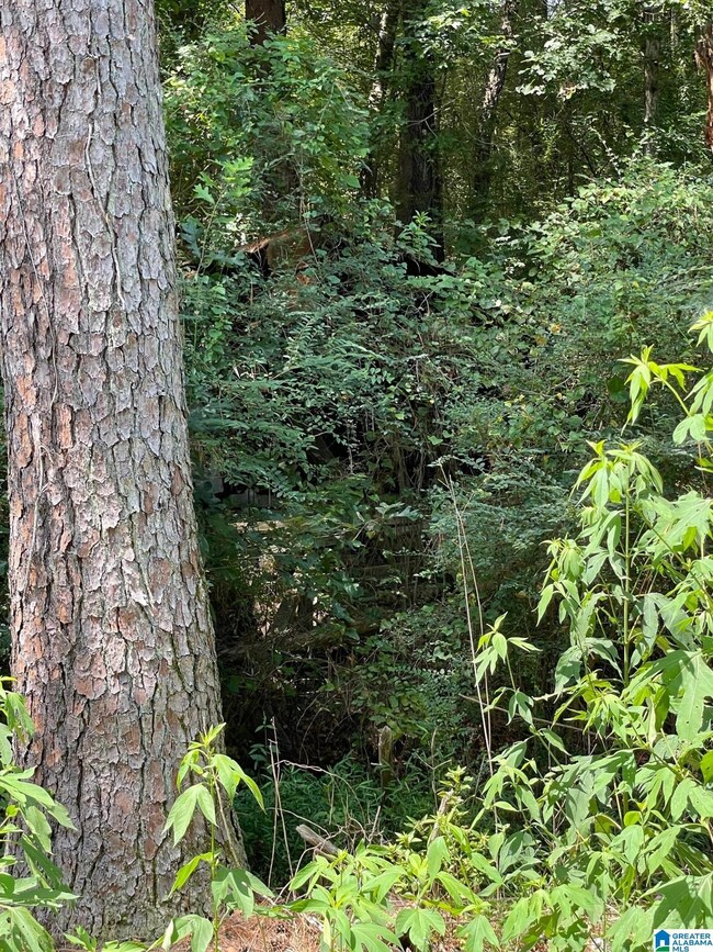 3449 Honeycutt Rd unit 123, Adamsville, AL 35005 - photo 3