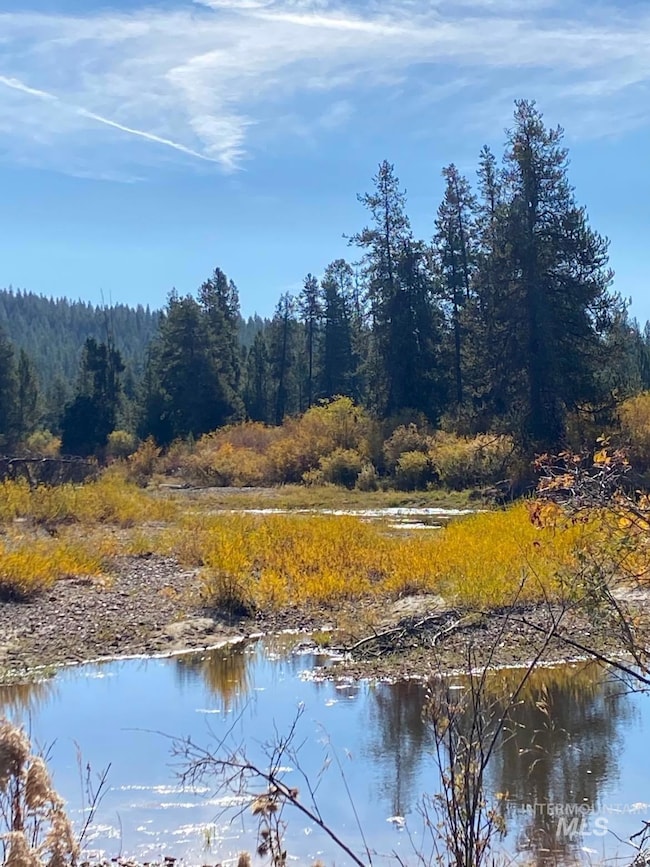 Water view featuring a heavily wooded area