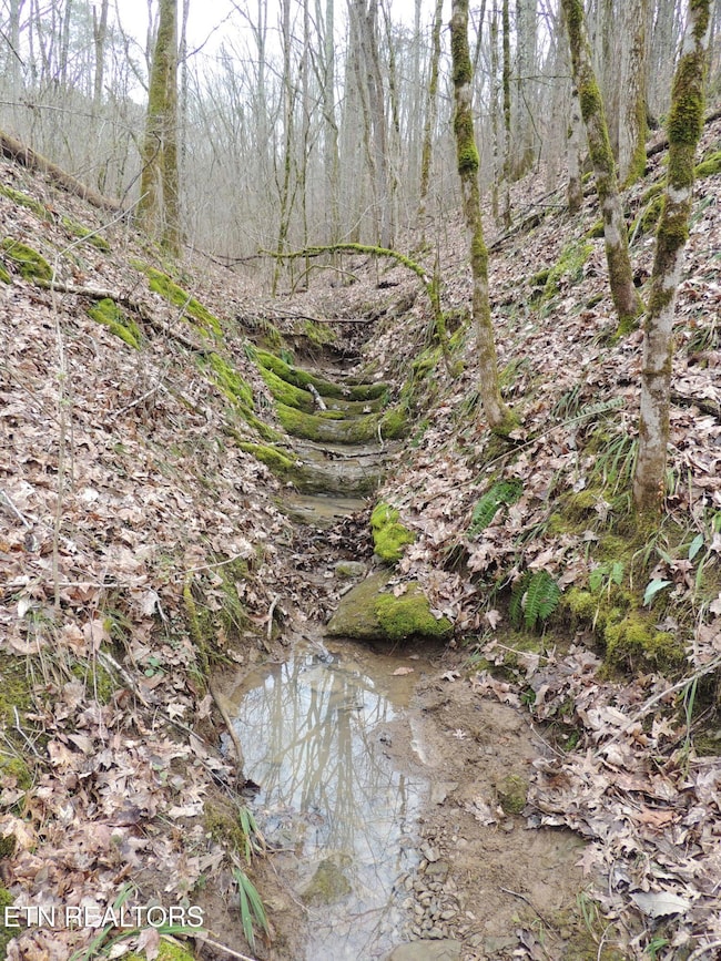 0 Thorn Grove Pike unit 1287648, Strawberry Plains, TN 37871 - photo 7