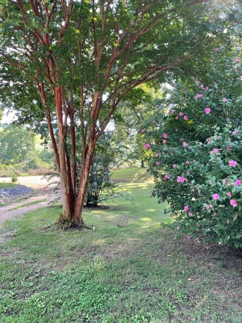 2050 Limekiln Rd, Tennessee Ridge, TN 37178 - photo 3