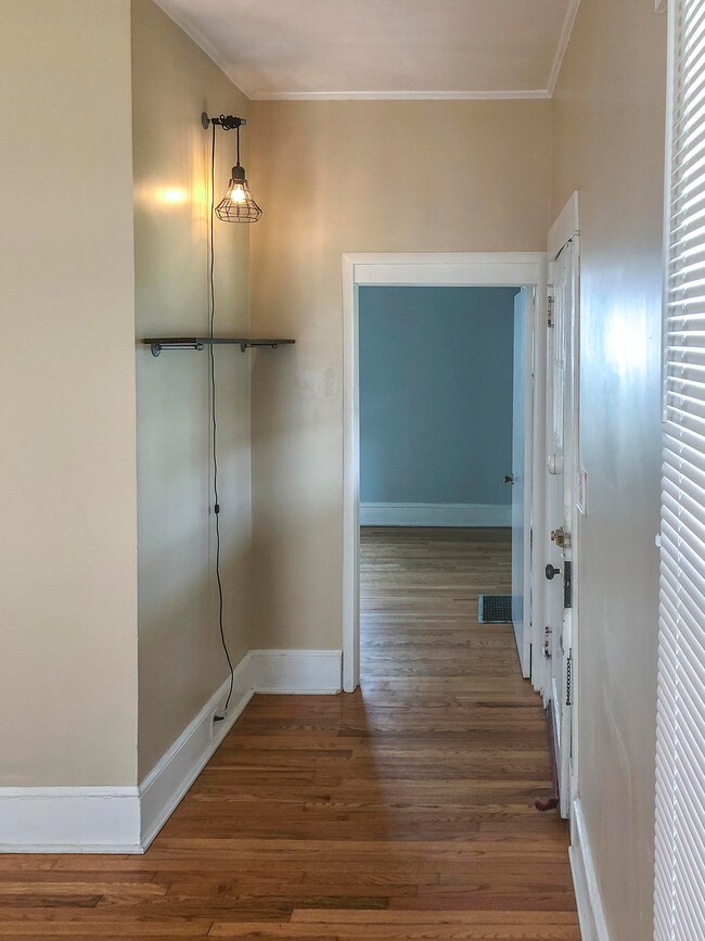 310 W Locust St, Johnson City, TN 37604 - photo 3