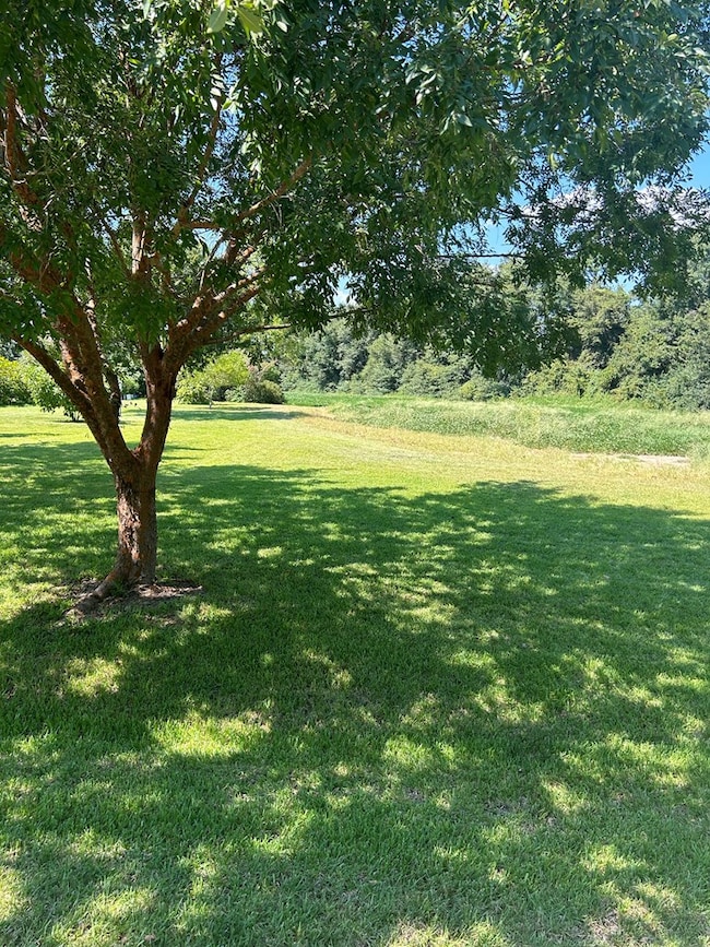 1831 Hooper Cherry Rd, Dothan, AL 36301 - photo 4