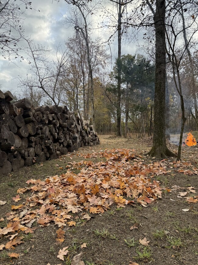 528 Hunting Hills Dr, Mount Juliet, TN 37122 - photo 5