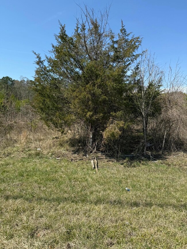 0 S Amhurst Place unit RTC3051683, Englewood, TN 37329 - photo 6