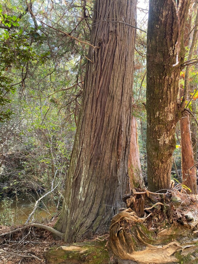 Parcel 1/D Sunburst Dr, Crestview, FL 32539 - photo 2