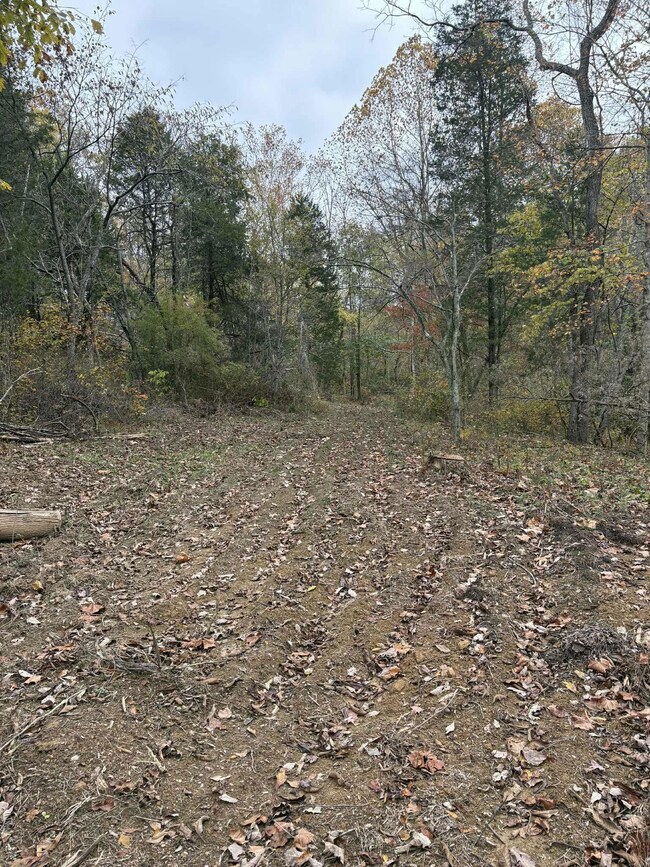 Pine Grove Ch Rd, Vanceburg, KY 41179 - photo 7