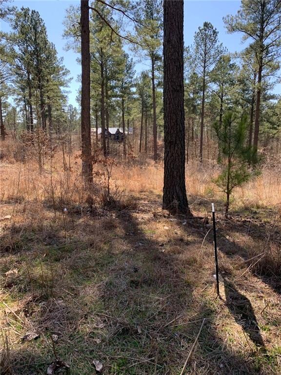 0 Eagle Mountain Trail E unit Lot 55 901730, Broken Bow, OK 74728 - photo 3