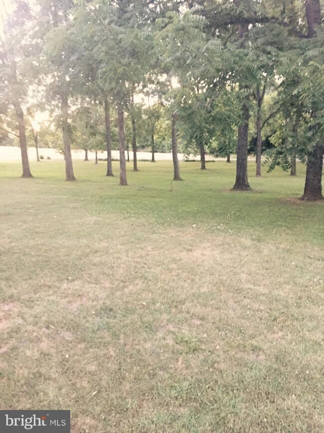 13248 Mitchell Rd, Mitchells, VA 22729 - photo 5