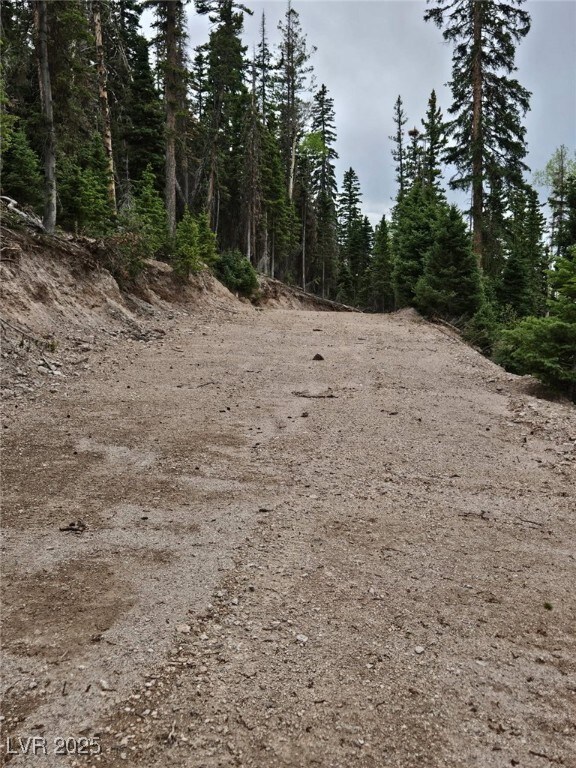 View of tree filled area