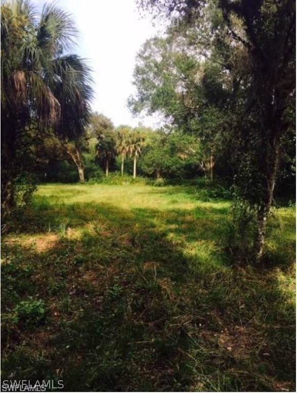 18821 Palm Beach Blvd, Alva, FL 33920 - photo 6