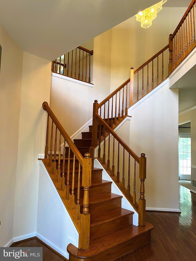 11 Old Granary Ct, Catonsville, MD 21228 - photo 4