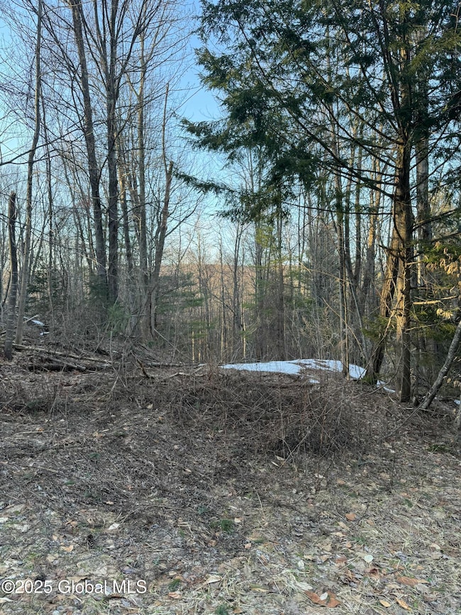 132 Wesskum Woods Rd, Johnstown, NY 12078 - photo 4