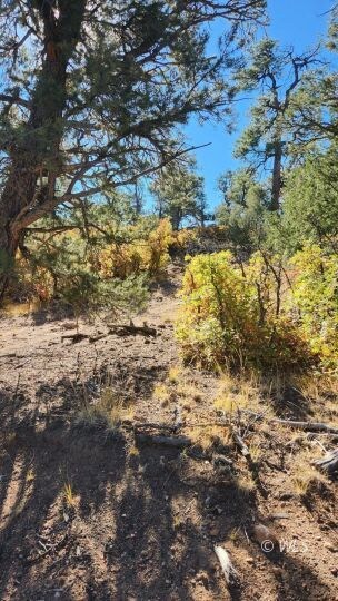 TBD L 42nd Trail, Cotopaxi, CO 81223 - photo 3