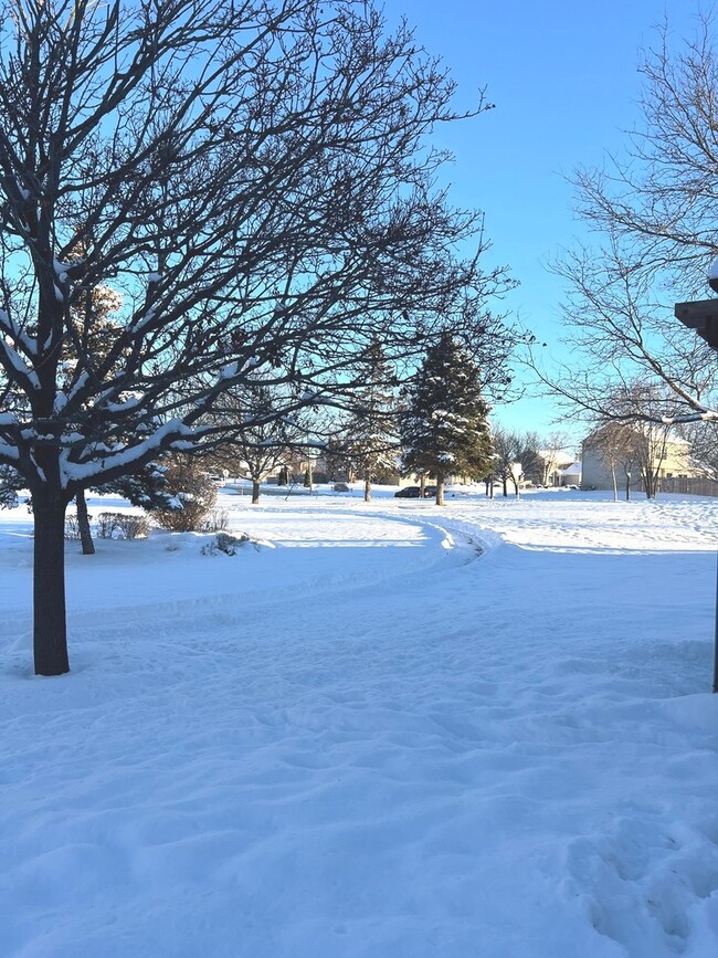 2233 Dawson Ln unit 312, Algonquin, IL 60102 - photo 4