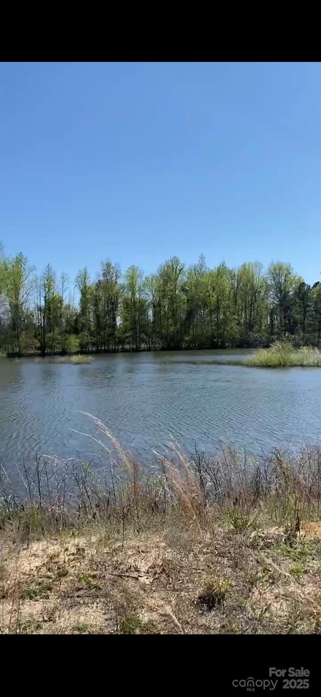 1824 Germantown Place, Dillon, SC 29536 - photo 6