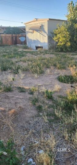Back yard