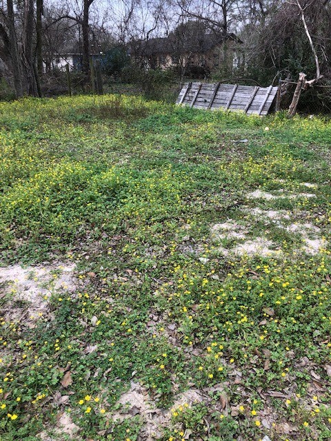 7617 Ley Rd Rd, Houston, TX 77028 - photo 7