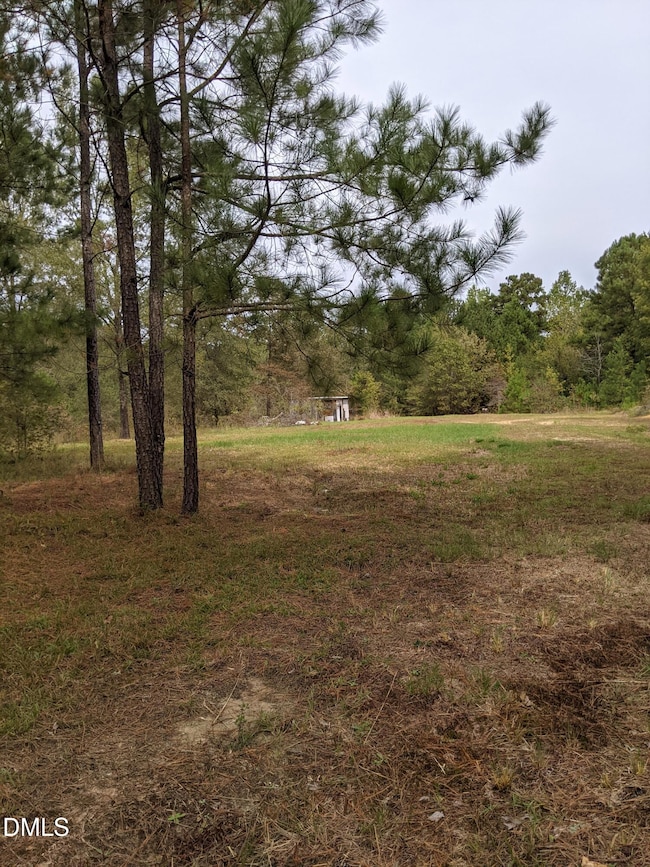 0 E Governor Brandon St, Anderson Creek, NC 28390 - photo 6