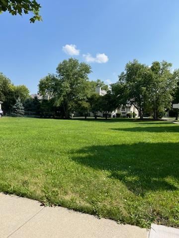 1251 Lansbrook Dr, South Elgin, IL 60177 - photo 3