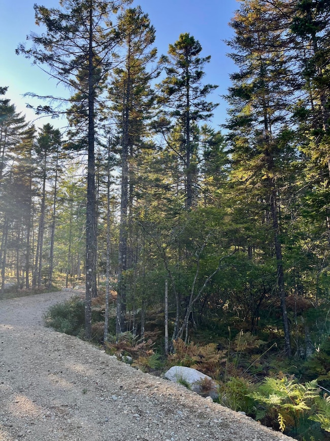 10 Granite Ln, Steuben, ME 04680 - photo 4