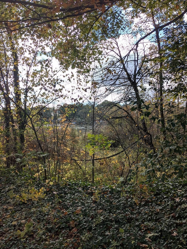 66991 Winding River Rd, Constantine, MI 49042 - photo 2