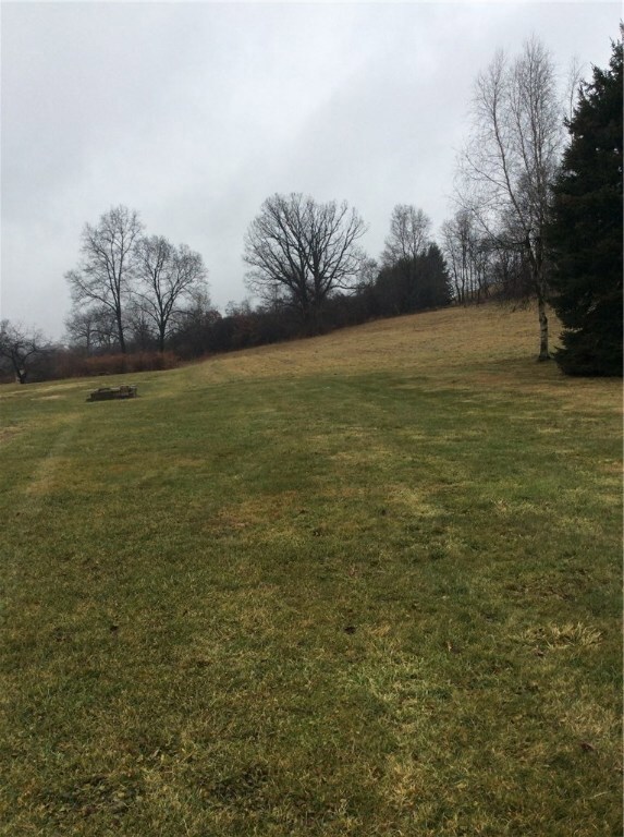 Entrance property drive way onto property. It run clear back to trees.