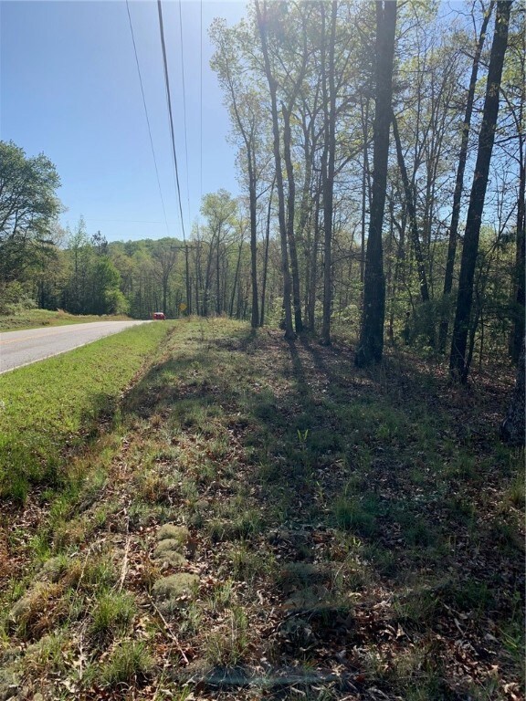 545 Flat Shoals Rd, Walhalla, SC 29691 - photo 5