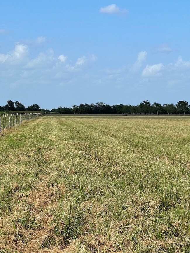 6931 Kamas Ln, Needville, TX 77461 - photo 7