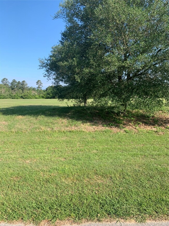 36725 Fm 1774 Rd, Magnolia, TX 77355 - photo 3