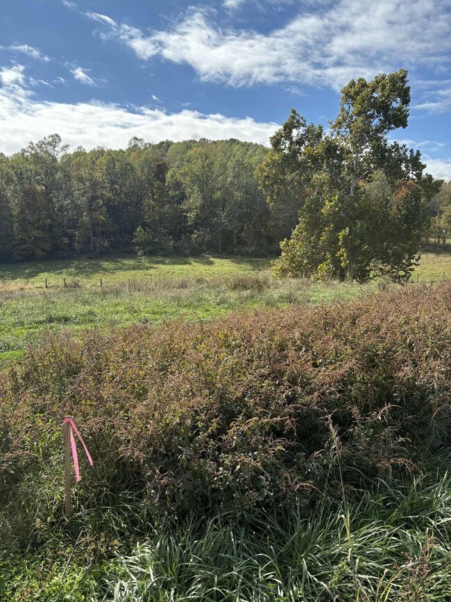 Pine Grove Ch Rd, Vanceburg, KY 41179 - photo 7