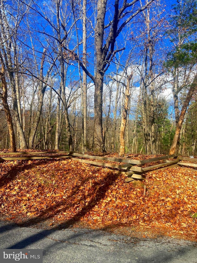 0 Spitz Ln unit VASH2013116, Basye, VA 22810 - photo 3