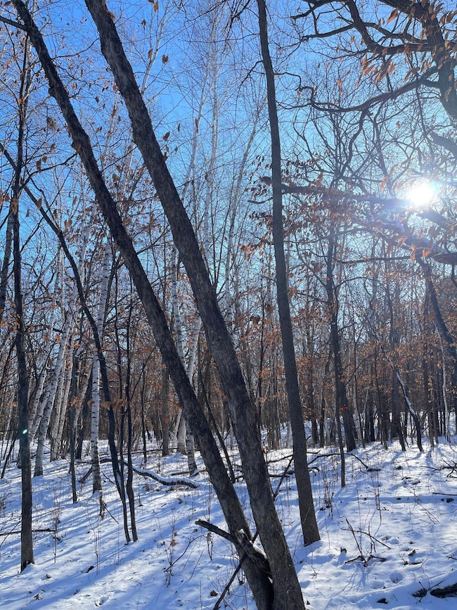 B1 L9 181st Ave NW, Oak Grove, MN 55303 - photo 3