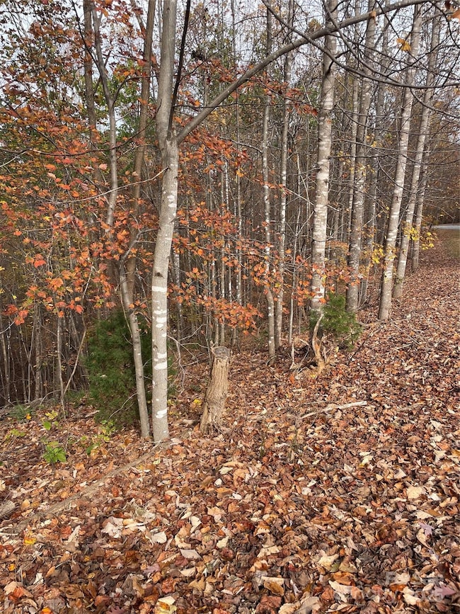 V/L Lot 72 & 170 Black Lark Dr, Marion, NC 28752 - photo 6