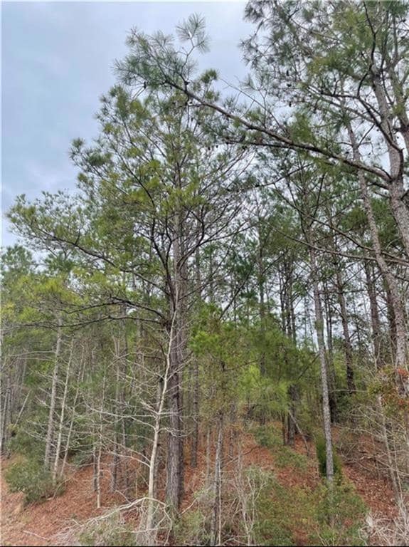 3921 S Highway 431, Phenix City, AL 36869 - photo 4