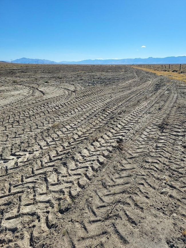 469-400 Helman Ln, Wendel, CA 96136 - photo 4