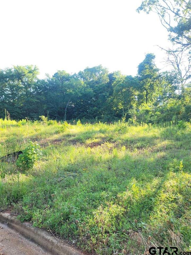 1243 Rainmaker, Tyler, TX 75703 - photo 5